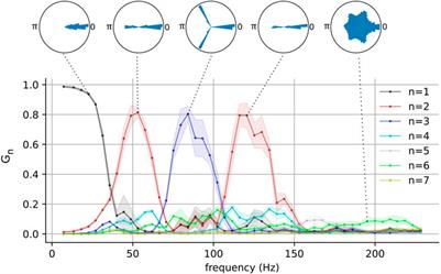 Biophysical modulation and robustness of itinerant complexity in neuronal networks